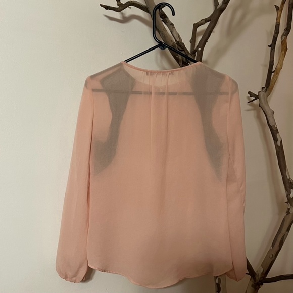 Zara Worn Once Sheer Blouse - Picture 3 of 6